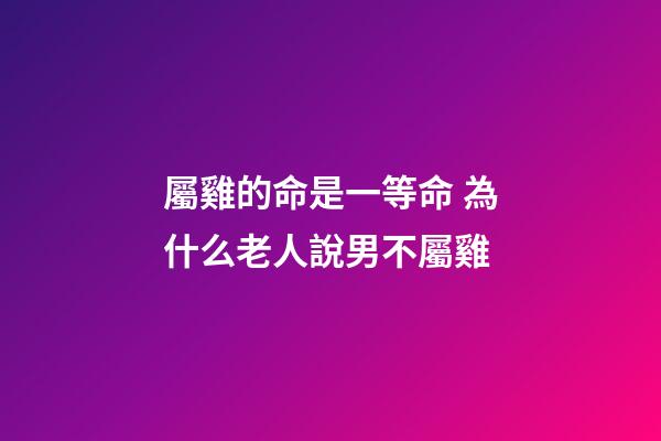 屬雞的命是一等命 為什么老人說男不屬雞